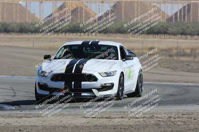 media/Oct-21-2023-Speed Ventures (Sat) [[ddf75163c5]]/Green/Grapvine/